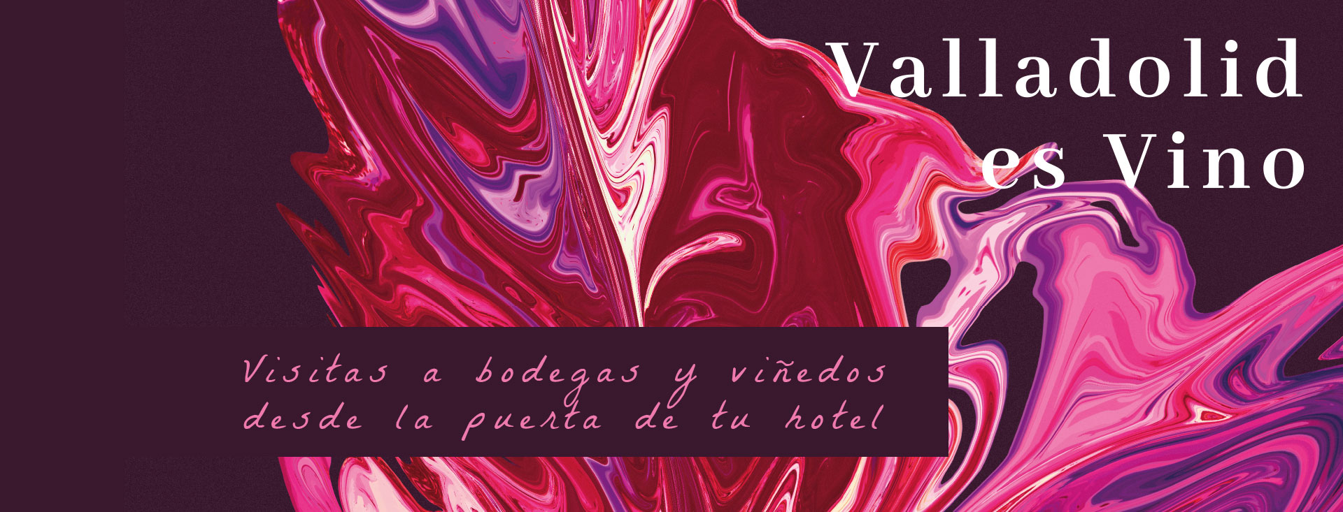 Valladolid es Vino